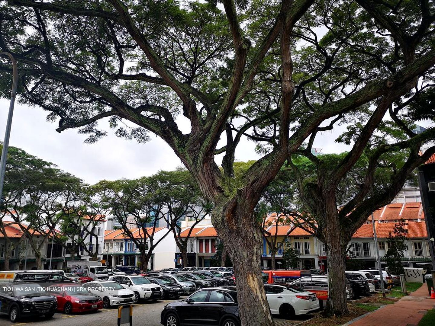 Tanjong Pagar Conservation Area (D2), Shop House #603554791